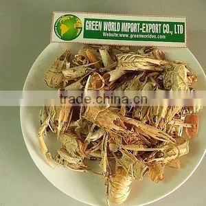 DRIED SHRIMP SHELL BEST QUALITY- BEST PRICE thumbnail-1