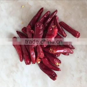 Red Chili at Wholesale With High Quality and New Crop thumbnail-4