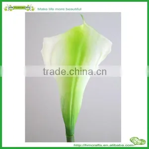 Calla Lily China Wholesale Home Decoration Real Touch Calla Lily thumbnail-4