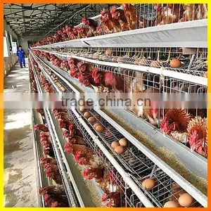 Land Saving A Type Dorking Layer Cage,poultry Farm Dorking House thumbnail-1