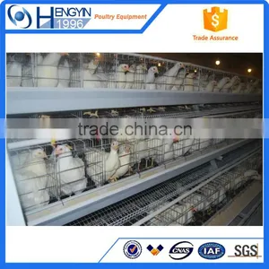 Popular Selling Layer Cage Chicken Cage Layer Cages for Sale thumbnail-3