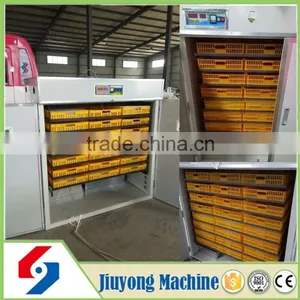 880 Piece European Market Egg Incubator Solar thumbnail-2