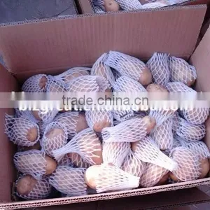 Supply Fresh Vegetables ,high Quality Fresh Potatoes for Sale thumbnail-5