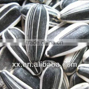 Sunflower Seeds for Sale thumbnail-1