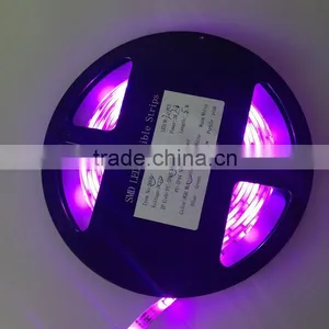 Smd 3528 Led Strip Epistar 12 Volt Led Light Strips Led Strip thumbnail-3