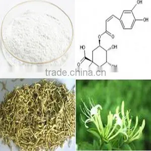 Chlorogenic Acid 98% From Honey Suckle Flowers thumbnail-1