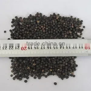 Malabar Spinach Seeds Vegetable Seeds for Planting thumbnail-3