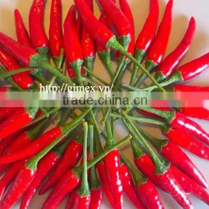 HOT PEPPER, CHILLI +84963818434 Whatsapp thumbnail-1