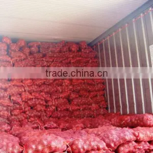 Fresh Red Onion 2016-2017 thumbnail-1