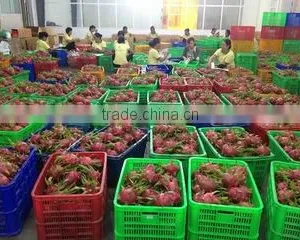 Vinagrin Import Export Co.,ltd company overview - view 3 thumbnail