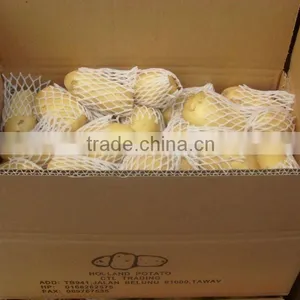 Latest Crop Potato thumbnail-1