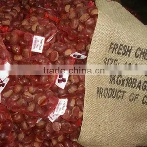 Hot Selling Big Size Chinese Chestnuts--Tai an Chestnuts thumbnail-6