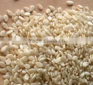 Sesame Seeds thumbnail-1