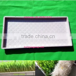 Plastic Hydroponics Barley Grow Tray for Wheat Sprouts Growing in Garden thumbnail-1