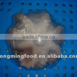 Frozen Octopus thumbnail-1