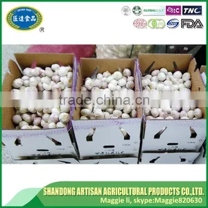 Low Price Fresh Solo Garlic thumbnail-5
