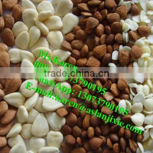 Almond Shell Removal Machine /almond Sheller/almond Shelling Machine thumbnail-4