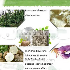 Herbal Breast Enlargement Medicine Pueraria Mirifica Breast Enlargement Pills thumbnail-3