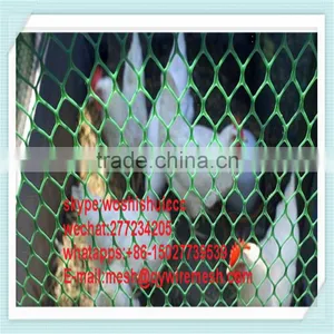 Invisible Agricultural Bird Netting / Plastic Bird Wire Mesh thumbnail-4