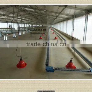 Automatic Steel Structure Poultry Sheld thumbnail-1