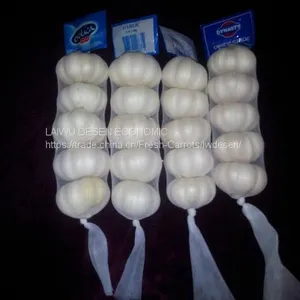 Fresh Garlic thumbnail-1