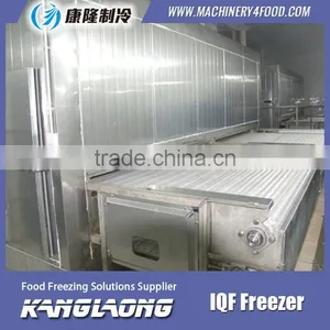 Large Output Freezing Plant With Good Quality thumbnail-3