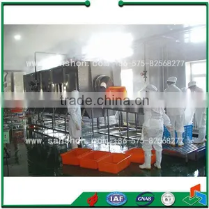 Food Blanching Machine thumbnail-2