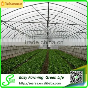 Low Cost Poly Tunnel Greenhouse for Sale thumbnail-1