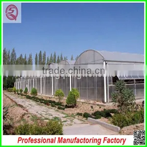 China Multi/single Span Plastic Film Greenhouse Agriculture for Sale thumbnail-2