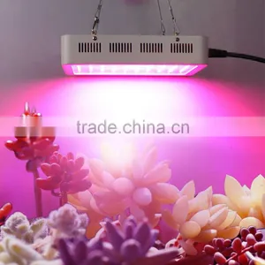 Plant Grow Light for Flowering Plant Vegetables, Energy Saving Downlight Plant Light for Indoor Hydroponic Garden Greenhouse thumbnail-2