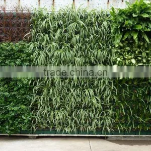 PV290 Plastic Green Wall Container,vertical Wall ,Automatic Irrigation,indoor and Outdoor thumbnail-2