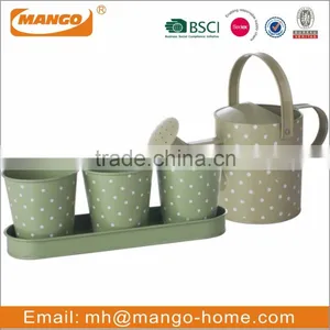 Set of 3 With Tray Decal Metal Mini Flower Pot thumbnail-2