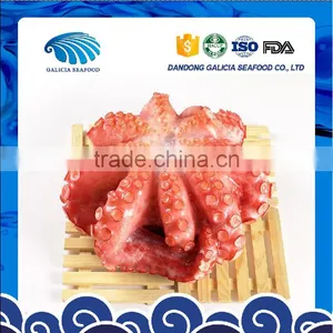 Frozen IVP Octopus Vulgaris thumbnail-1
