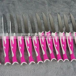 51010 12PCS STAINLESS STEEL Fruit Knife Set thumbnail-5