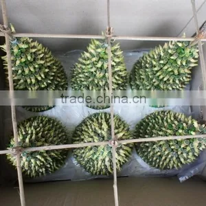 Lucky Bamboo ( Dracaena Sanderiana) thumbnail-3