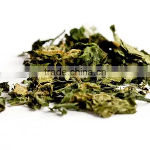 Dried Herbal Nettle Leaf Tea Detoxification Anti-inflammatory And Urinary Stones thumbnail-3