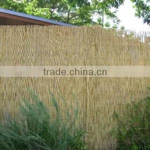 Reed Fence thumbnail-1