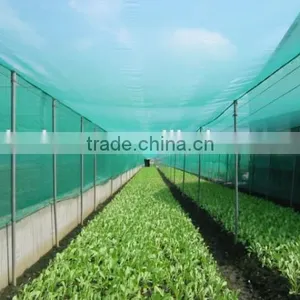 PE ANTI-INSECT NET UV TREATED,LONG LIFE thumbnail-1