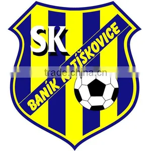 Newest Hot Football Team Race Custom Football Logo Plastisol Heat Transfer Printing Sticker For T-shirt Wholesale thumbnail-1