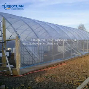 UV Protection 200 Micron PE Greenhouse Plastic Film thumbnail-5