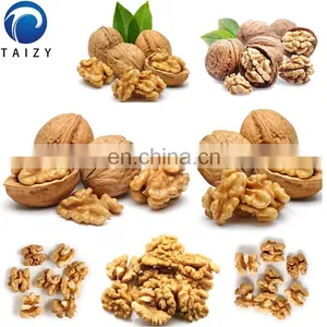 Wholesale Price Electric Automatic Black Walnut Cracker thumbnail-7