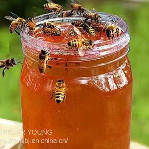Honey thumbnail-3