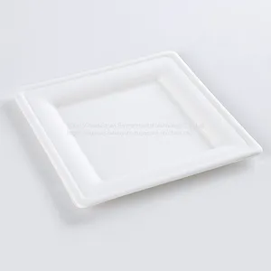 Disposable Biodegradable 10INCH Square Plate Take Away Sugarcane thumbnail-2