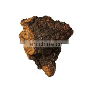 100% Pure Organic Chaga Mushroom Extract Powder thumbnail-2