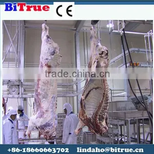 Factory Sell Directly Slaughter House Machinery thumbnail-1