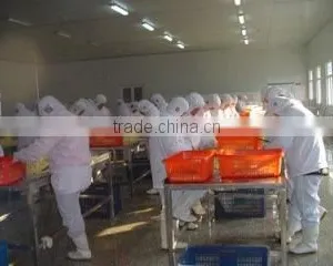 Qingdao Yafod Import And Export Co., Ltd. company overview - view 3 thumbnail