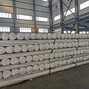 Exported to Indonesia With a Width of 8 Meters, a Length of 420 Meters, and a Thickness of 0.50mm HDPE Geomembrane thumbnail-2