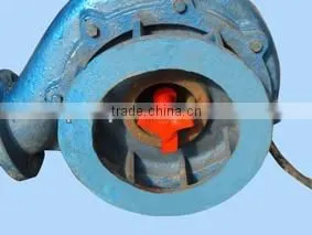 China SH Type Water Pump for Farm Irrigation thumbnail-1