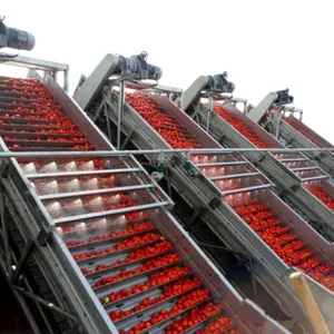 Fully Automatic Blackberry Jam Blueberry Jam Raspberry Jam Production Line thumbnail-1