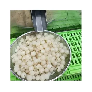 Cherry Dates Wholesale Small Automatic Dates Pitting Machine Olive Cherry Dried Plum Prunes Pitter Stones Removing Machine Date Palm Corer Apricot Plum thumbnail-6